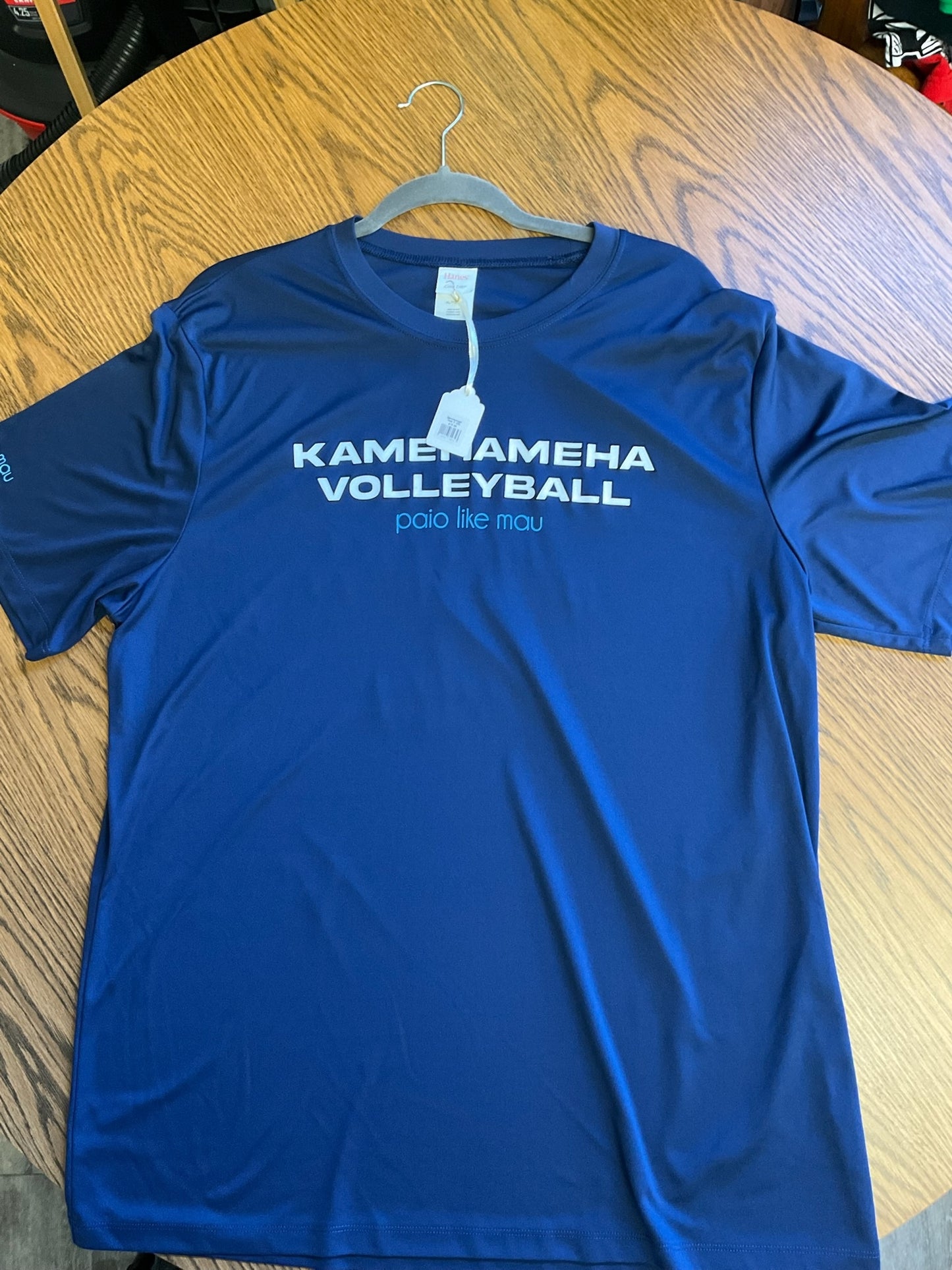 Vintage Hanes Kamehameha Volleyball T-Shirt